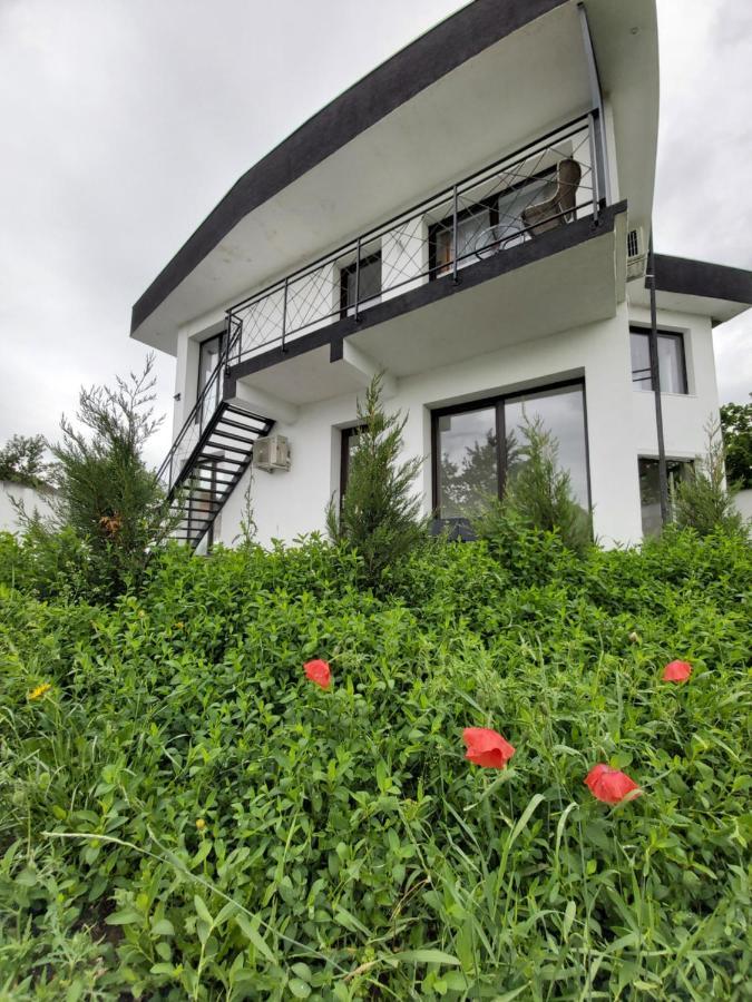 Appartement Accent House à Deva Extérieur photo
