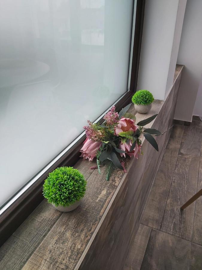 Appartement Accent House à Deva Extérieur photo