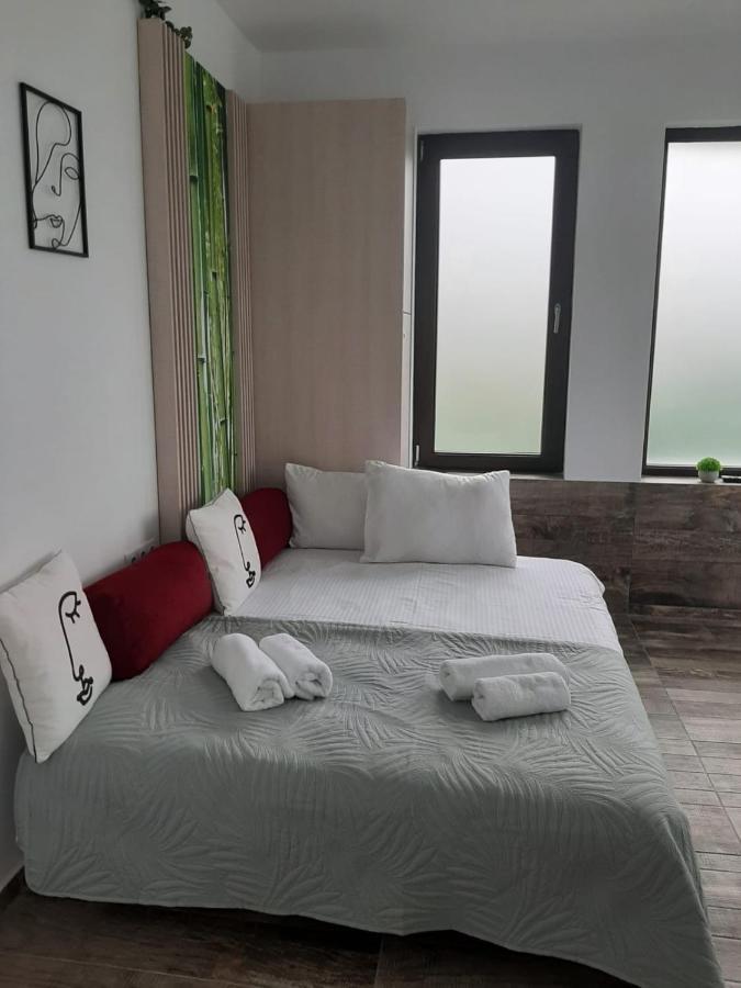 Appartement Accent House à Deva Extérieur photo
