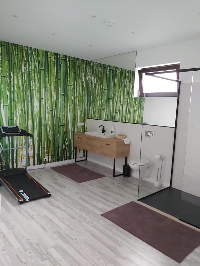 Appartement Accent House à Deva Extérieur photo